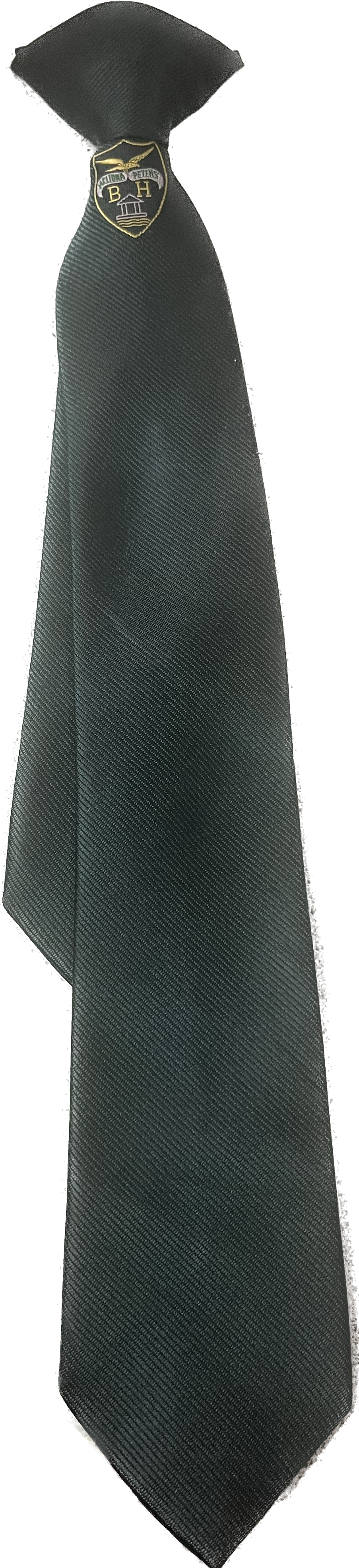 Clip on Tie